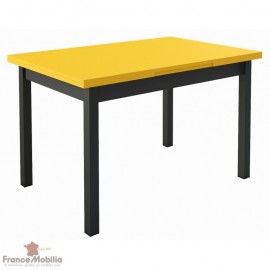 Table de cuisine personnalisable extensible