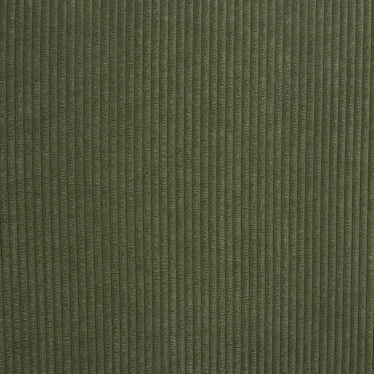 Velours Vert 25